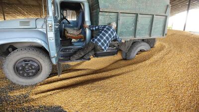 A driver gets out of a cabin to unload the truck at a warehouse. Eduard Korniyenko / Reuters
