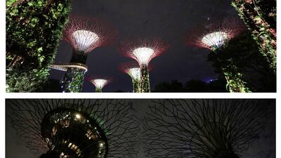 Artificial structures called Supertrees at Gardens By the Bay in Singapore. Reuters