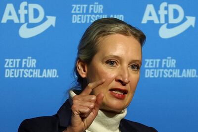 Social media accounts supporting Alternative for Germany party co-leader Alice Weidel are being interrogated. Reuters