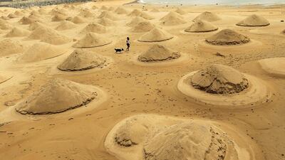 A woman takes a walk with her dog through Gorliz beach in Plentzia, Basque Country, Spain, where sand contribution works have started before the beginning of the swimming season starting on 01 June 2014. Alfredo Aldai / EPA