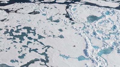 Scientists say that even in remote regions such as the Arctic and the Alps the snow is polluted with microplastics. EPA/KAJETAN DEJA/ALFRED WEGENER INSTITUT