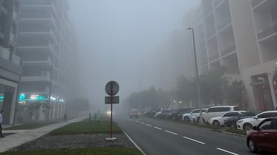 Al Zeina, Abu Dhabi. Reena Ratan / The National