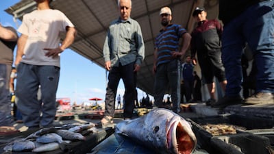 Palestinian customers examine the day's catch before it is auctioned off at Gaza City's main port. AFP