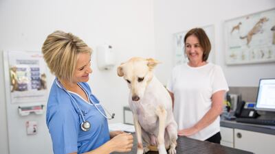 Dr Katrin Jahn of German Vet Clinic in Abu Dhabi. Courtesy Digital Farm