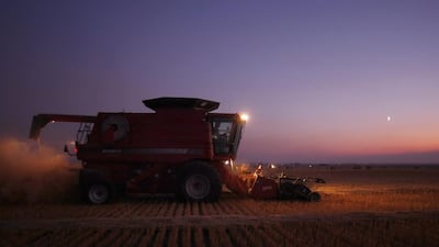 Worldwide cereal production is expected to increase this year, according to the UN Food and Agriculture Organisation. Todd Korol / Reuters