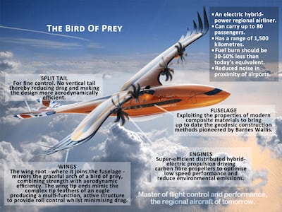 An infographic explaining the Airbus Bird of Prey. Twitter / Airbus