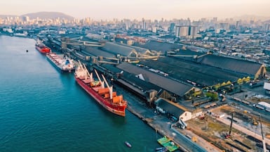 CLI owns 100 per cent of CLI Norte, which operates a terminal at the Port of Itaqui in Brazil. Photo: CLI