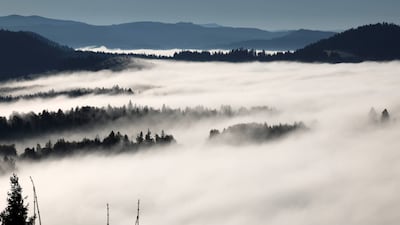 Morning fog over the Tatra Mountains in Kluszkowce village, southern Poland. EPA