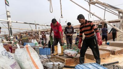 'Never believe anyone who goes to the sea and says he is making money,' veteran Emirati boat owner Abdulla Ghanam says. 'Whatever I get from the co-op, I’ll put back in fishing'