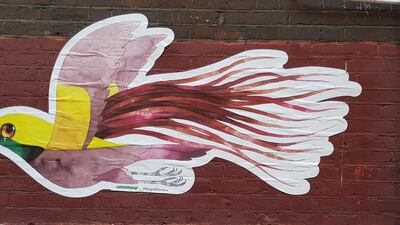 A "paste up" of a Bird of Paradise, inspired by the Wings of Paradise campaign about the deforestation of Papua to create palm oil plantations. Photo by Rosemary Behan