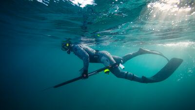 Spearfishing using compressed air cylinders and surface air supply tubes without a licence from the EAD is punishable with a first-time fine of Dh20,000. Getty Images