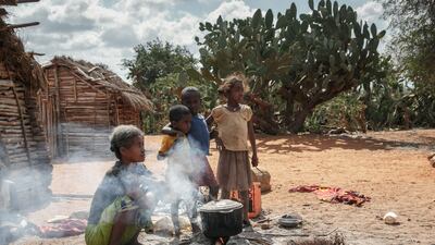 Helmine Monique Sija, a 50-year-old single mother, with six children, prepares raketa (cactus) to eat with her daughter Tolie,10, in the village of Atoby, Madagascar. The raketa eases hunger but does not provide any nutrients and is known to cause strong stomach aches. For decades the South-East of Madagascar has been prone to "kere" or the food crisis due to intense drought. AFP