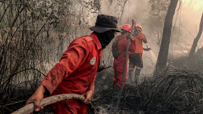Firefighters tackling a wildfire in Palem Raya, South Sumatra, Indonesia. EPA