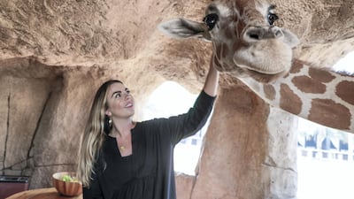 Up to six people can enjoy the Breakfast with Giraffes experience at Emirates Park Zoo. Victor Besa/The National