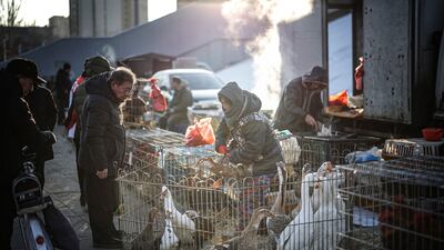 A livestock vendor at a market in Shenyang, in north-east China's Liaoning province. AFP