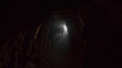 A miner with a stick in his hand walks his donkeys into the depths of a coal mine.