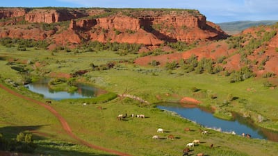An aerial view of Red Reflet Ranch. Courtesy Red Reflet Ranch