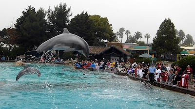 Denis Poroy / AP photo