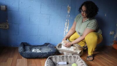 Amal Amro pets a cat.