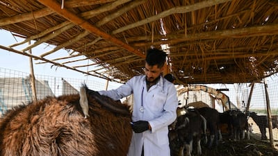 "The service reduces the distances between the breeders who live in the middle of the marshes and the veterinarians who have their practice in town," said Mr Hindi.