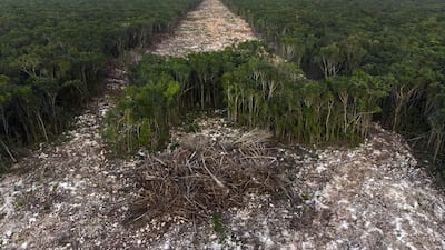 'The tourism bulldozer', depicting the path of a new cross-country tourist railway line at Paamul, Mexico, by Fernando Constantino Martinez Belmar, from Mexico, has won the Photojournalism award. Fernando Constantino Martinez Belmar / Wildlife Photographer of the Year / PA