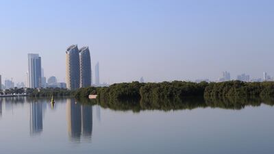 Adnoc has planted more than 250,000 mangrove seedlings in the emirate Ravindranath K / The National