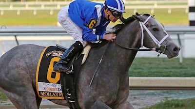 Mohaymen shown in the Fountain of Youth Stakes in Florida in February. Liz Lamont / Eclipse Sportswire / Getty Images