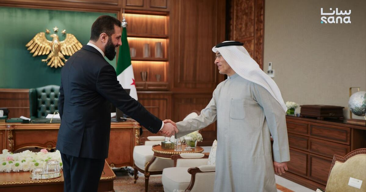 UAE business delegation in Syria to discuss rebuild with Al Shara