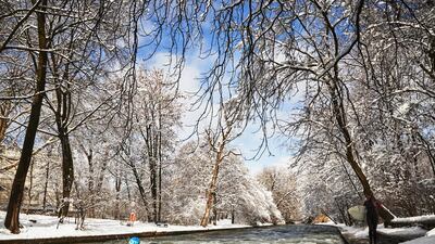 A surfer rides the Eisbach wave in the English Garden in Munich, Germany. Getty Images