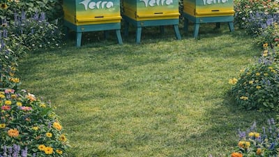 A rendering of the apiary, to be built at Deira International School. Photo: Deira International School