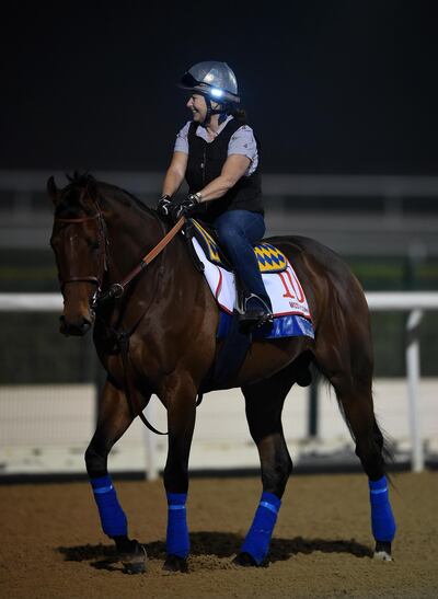 West Coast is the pre-race favourite to win the Dubai World Cup. Tom Dulat / Getty Images