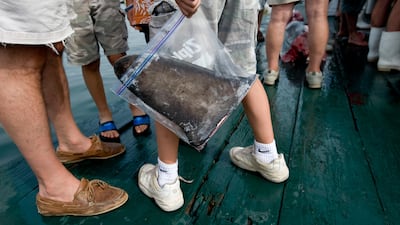 When a living shark loses its fin, they are unable to swim effectively and will sink to the bottom of the ocean, suffocate and die. The National