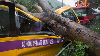 A school bus is struck by a fallen tree in Hong Kong. EPA