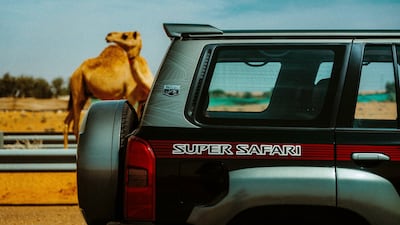 The camel isn't part of the design