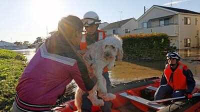 Firefighters evacuate a dog (C) from a flooded area in Kawagoe, Saitama prefecture. AFP