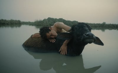 Beneath Which Rivers Flow by Ali Yahya follows a young man and his buffalo companion in the marshlands of Southern Iraq. Photo: Berlinale