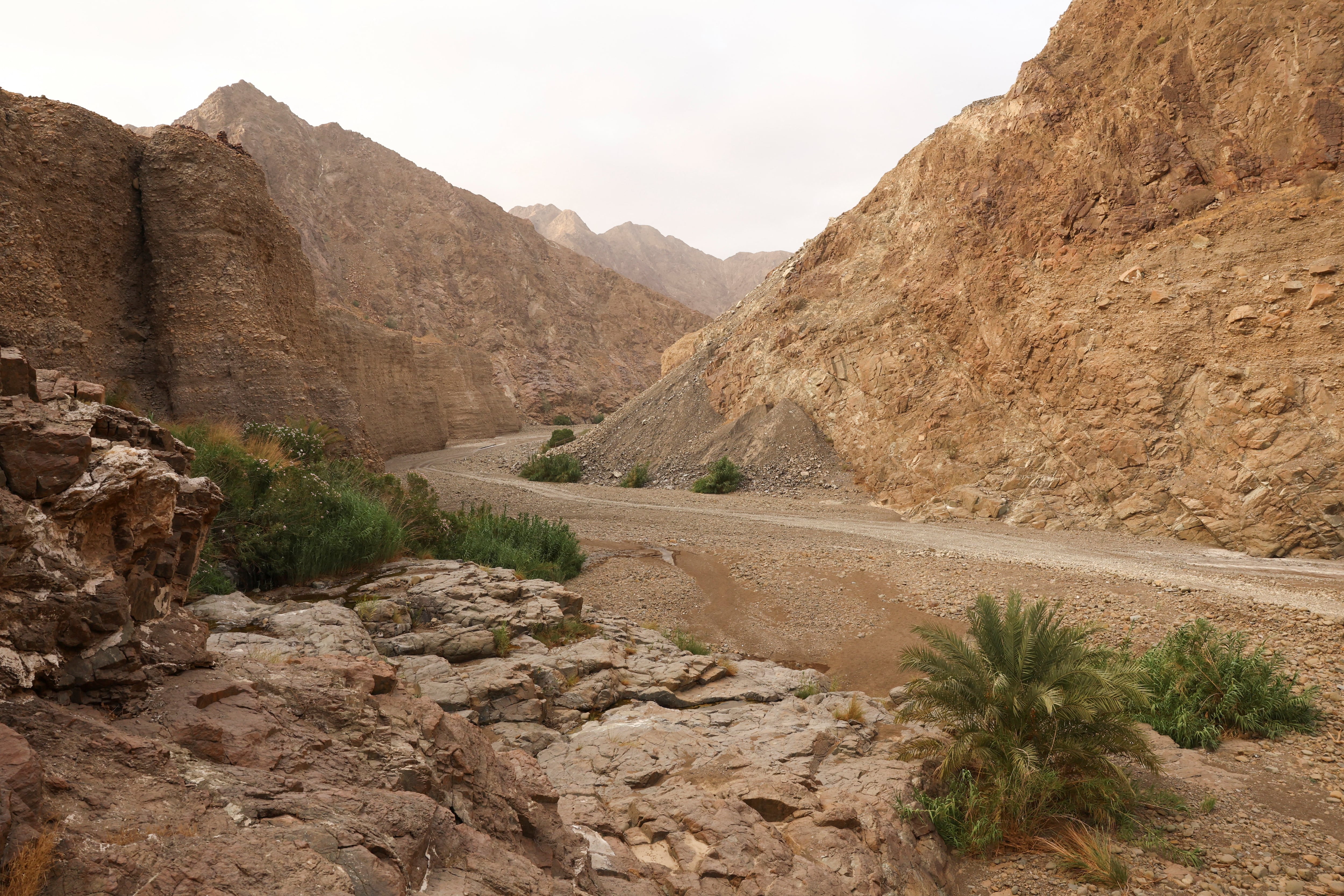 Image linked from the original feed: UAE's Wadi Wurayah National Park added to Unesco World Heritage List