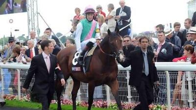 Dux Scholar, above, and Maritimer are two of American trainer Seth Benzel's runners at the Dubai World Cup Carnival.