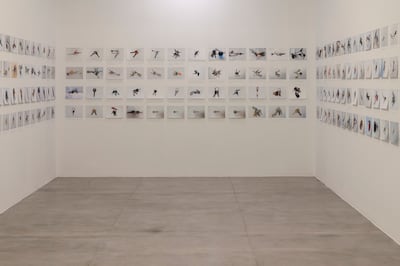 Taysir Batniji’s Just in Case #2. Photo: Jorge das Neves / Anozero