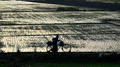 An Indian farmer returns home after planting crops on a field on the outskirts of Guwahati, Assam, India. EPA