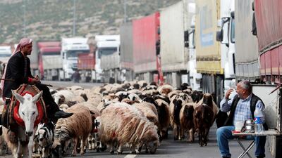 A truck driver talks to the shepherd at the Cilvegozu border gate, located opposite to the Syrian commercial crossing point Bab al-Hawa, in Reyhanli, Hatay province, Turkey, February 28, 2020. Reuters