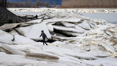 A boy walks on slabs of ice on the shore of the Fraser River between Agassiz and Chilliwack, British Columbia. AP