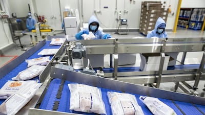 Located in Dubai Industrial City, the 13,000 square metre Asmak facility will handle a quarter of all seafood consumed in the UAE, sourced in large part from local farms. All pictures by Antonie Robertson / The National