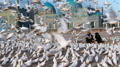 'Shrine of Hazrat Ali, Blue Mosque. Mazar-i-Sharif, Afghanistan, 1991'.