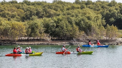Tourists set off for a kayaking trip through the Eastern Mangroves. Victor Besa / The National