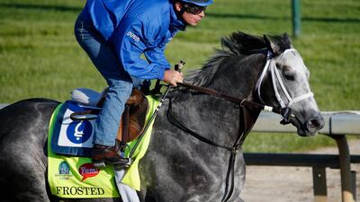 Frosted goes over the track during morning training for the Kentucky Derby at Churchill Downs on April 29, 2015 in Louisville, Kentucky. Rob Carr/Getty Images/AFP