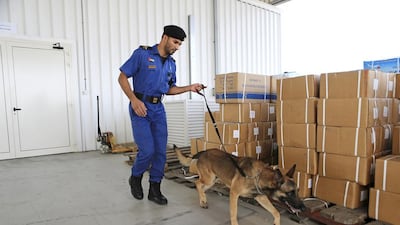 A Dubai Customs inspector uses a special canine unit to search for drugs in an unloaded shipment in Jebel Ali Port. Sarah Dea / The National