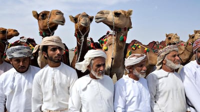 Camel breeders in Al Mudhaibi. Saleh Al Shaibany for The National