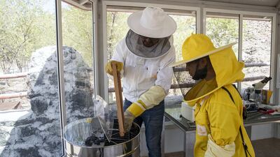 An extractor is used to remove honey from the frame