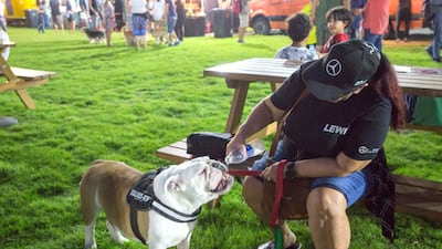 A pet owner takes care of her pet dog.